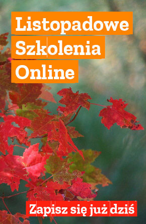 Listopadowe szkolenia online