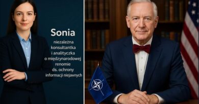 Międzynarodowi konsultanci komentują Międzynarodowi konsultanci komentują