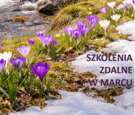 ChatGPT Image 12 lut 2026, 19_52_14