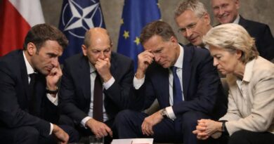 EUROPA CZEKA NA POLSKI SAFE: NADZIEJA I OBAWA EUROPA CZEKA NA POLSKI SAFE: NADZIEJA I OBAWA