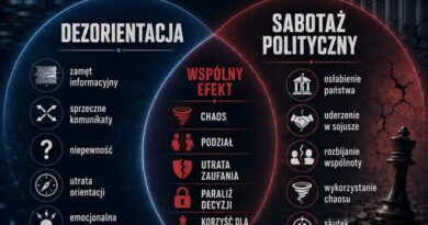 DEZORIENTACJA — SABOTAŻ POLITYCZNY