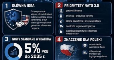 Aktualna koncepcja NATO 3.0 – nowa logika bezpieczeństwa Europy. Aktualna koncepcja NATO 3.0 – nowa logika bezpieczeństwa Europy.